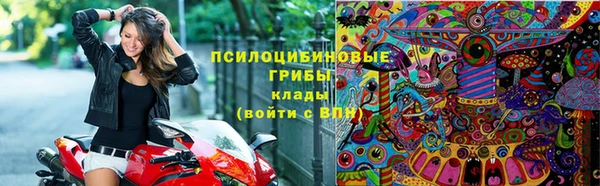 стафф Нефтекумск