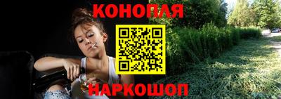 крисы Ирбит