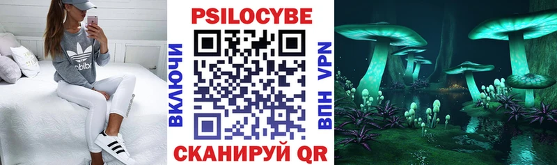 Псилоцибиновые грибы Cubensis  Серпухов 