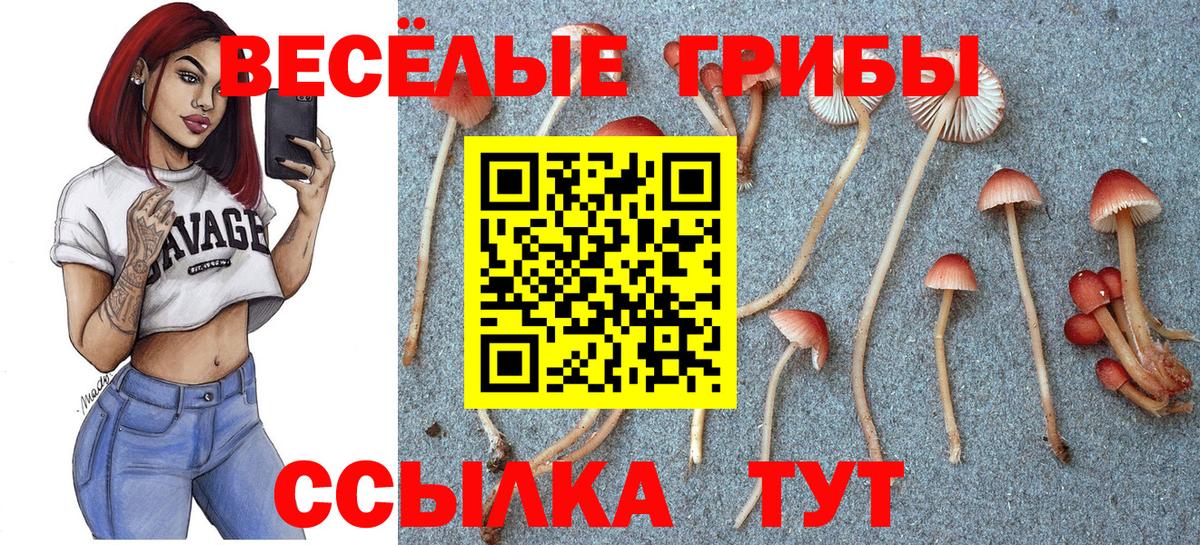 Псилоцибиновые грибы мицелий Серпухов